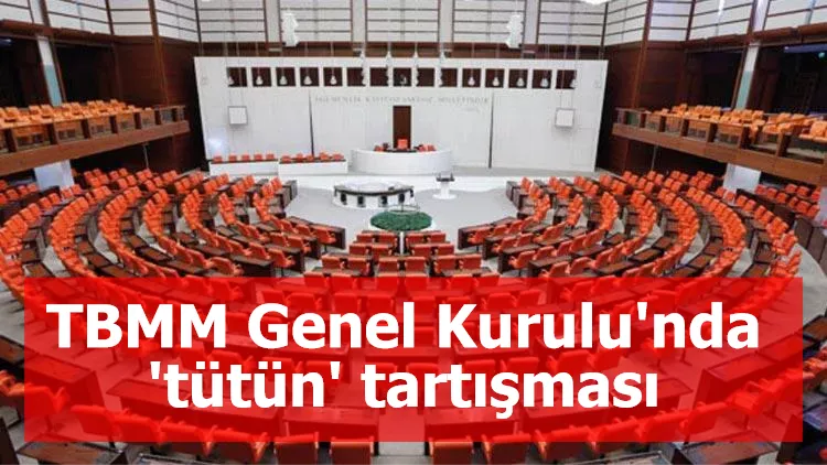 TBMM Genel Kurulu'nda 'tütün' tartışması